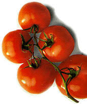 http://images.google.pl/images?q=tbn:Rp5qTxJDa6ZWNM:www.anth.ucsb.edu/faculty/bray/tomato.jpg